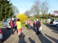 11 Cerisiers en fleurs dans l&#39;Ortenau Mösbach 10 04 2016 02